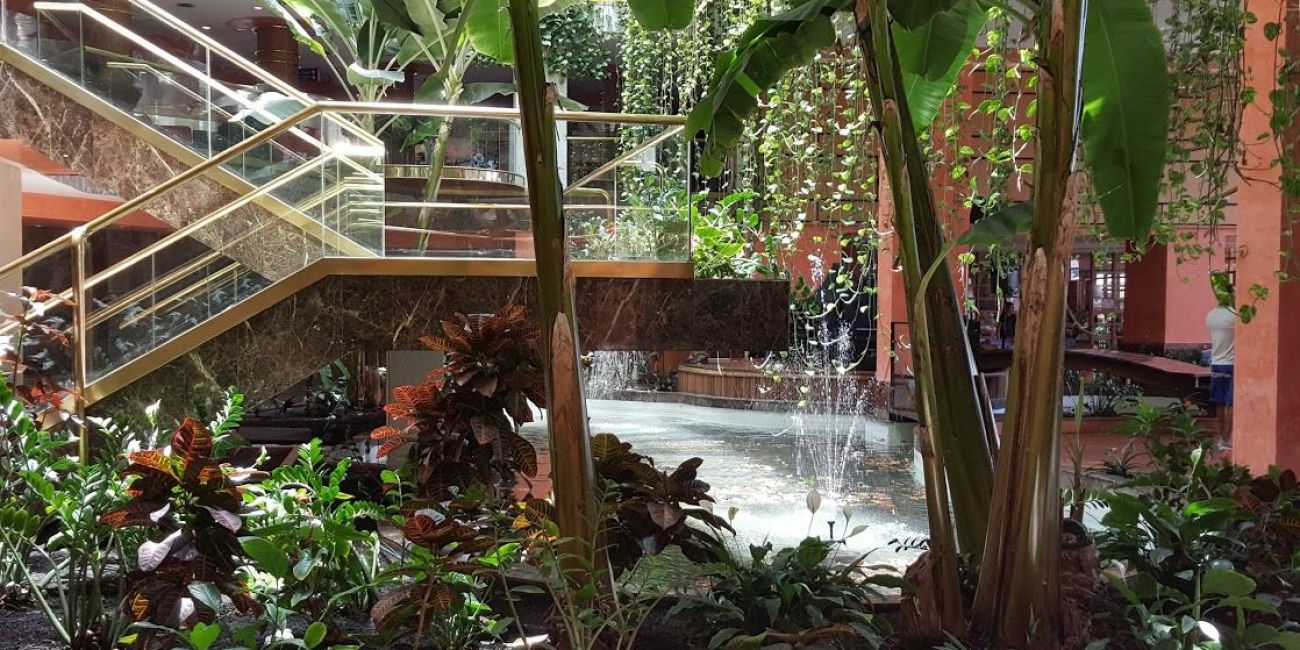 Alexandre Hotel Gala 4* Tenerife 