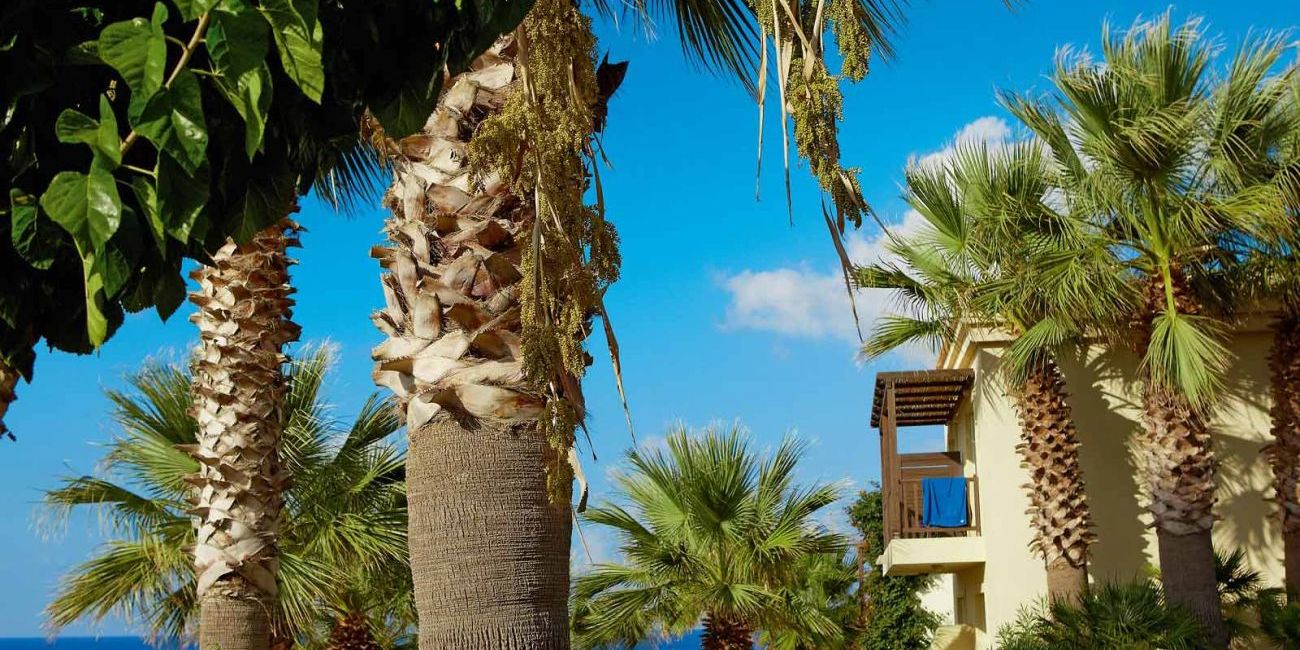 Grecotel Marine Palace Aqua Park 4* Creta 