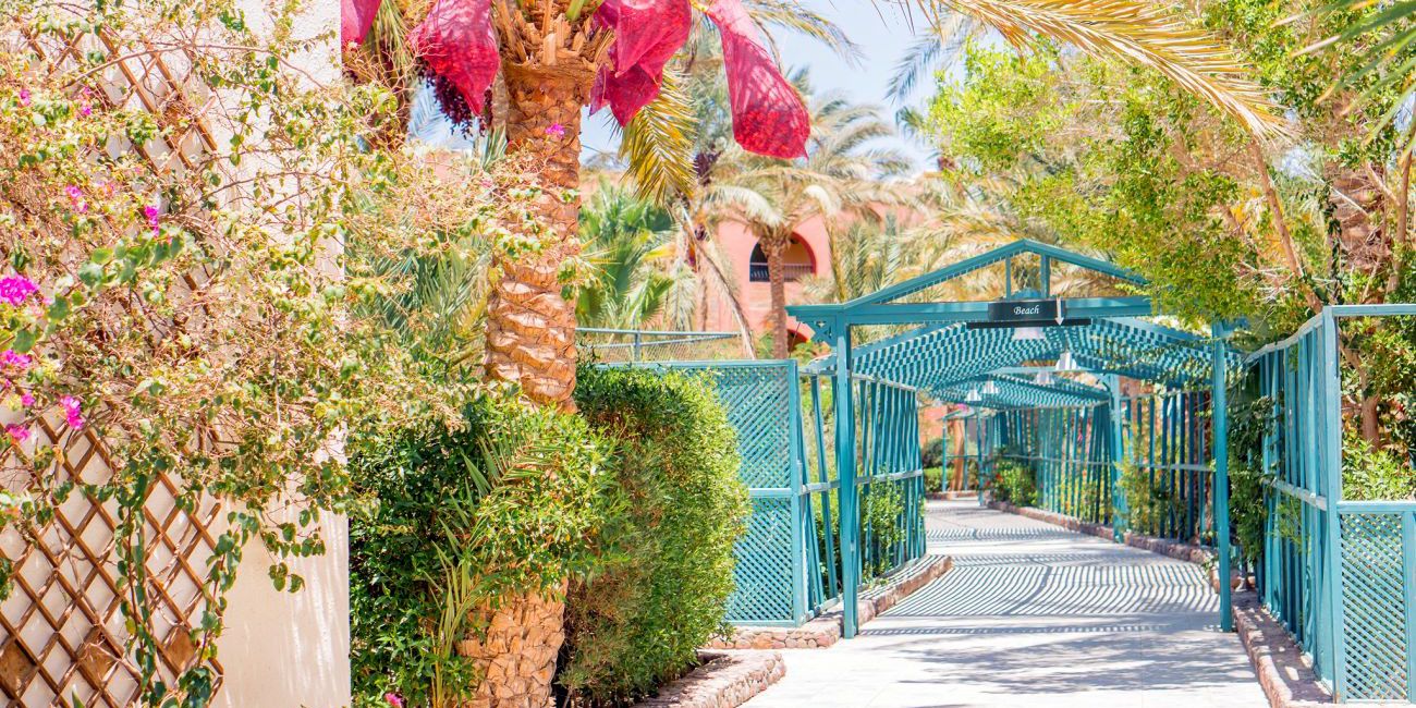 Hotel Bel Air Azur Resort 4* (Adults Only 18+) Hurghada 