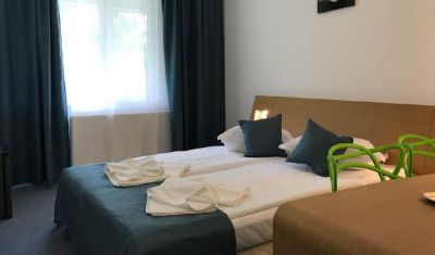 Imagine pentru Hotel Lebada Amara 3* valabile pentru Balneo 2025