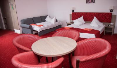 Imagine pentru Hotel Tisa 3* valabile pentru Craciun 2024